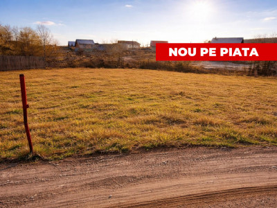 Teren 1262 m2 intravilan sau parcelat Smeura Stoenari Arges