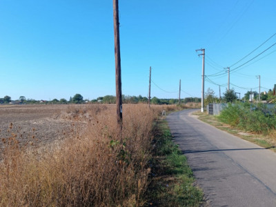 Teren pentru construcție casă cu utilități in Ciolpani-Piscu str. Olarilor