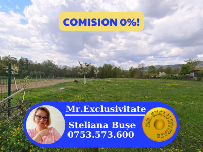 Teren mixt de vânzare Crasna Gorj, aproape de Rânca– 19.209 mp