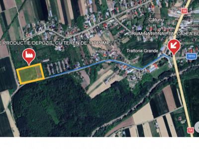 HALĂ INDUSTRIALĂ DE VÂNZARE – DB, CĂTUNU (TVA inclus)