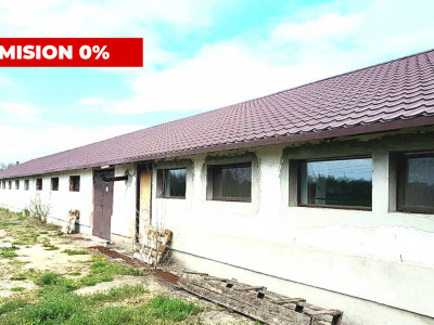 HALĂ INDUSTRIALĂ DE VÂNZARE – DB, CĂTUNU (TVA inclus)