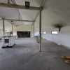 HALĂ INDUSTRIALĂ DE VÂNZARE – DB, CĂTUNU (TVA inclus) thumb 3