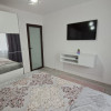 Inchiriere apartament 2 camere modern Banatului thumb 5