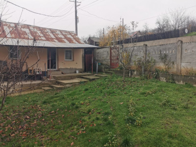 De vanzare casa in Argetoaia cu teren 7.000 mp