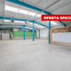 Hala industriala / spatiu comercial – VANZARE – DN 65B – Bradu-Pitesti! thumb 1