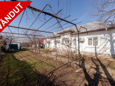 Casa parter + 3.055 mp teren in Costesti