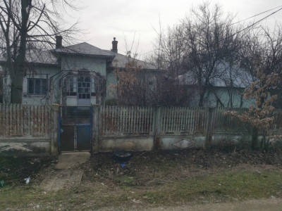 Casa batraneasca Zanoaga - 2002 mp teren 
