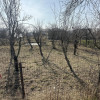Parcele de 400 mp intravilan str. Olteni, Mosoaia, Arges thumb 1