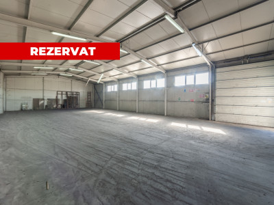 Hale & Birouri Mărăcineni - 1.294 mp - Deschidere la DN