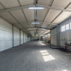Hale & Birouri Mărăcineni - 1.294 mp - Deschidere la DN thumb 20