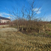 Teren intravilan 2273 mp in Pitesti, str. Mateias, iesire spre Campulung Muscel imaginea mica 4 Teren intravilan 2273 mp in Pitesti, str. Mateias, iesire spre Campulung Muscel thumb 4