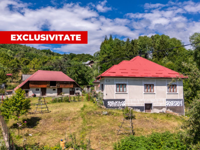  Casa  la munte cu teren generos in Com. Nucsoara, loc. Slatina jud. Arges!