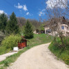 Casa imbratisata de padure + cabanuta de vara - Valea Ursului, Bascov  thumb 18