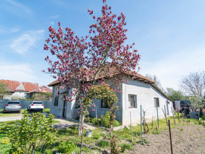 Casa + 948 MP Teren | Merisani