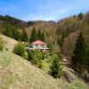 Casa Dambovicioara - CASA de vacanta sau PENSIUNE profitabila thumb 10