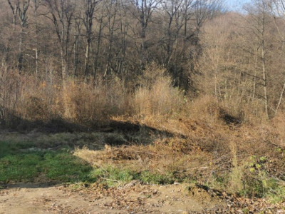 Comision 0% Teren Com. Bascov,Sat Labusesti,Uiasca