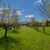 Casa Valea Mare Pravat (Campulung-Arges ) - farmec interbelic  thumb 2