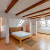 Apartament pe 2 nivele -  6 camere Gavana 3 + 309 mp curte proprie thumb 7