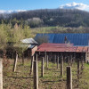 Casă P+M cu 1.558 mp teren, livadă și garaj | Barza, Gorj Comision 0%  thumb 15