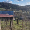 Casă P+M cu 1.558 mp teren, livadă și garaj | Barza, Gorj Comision 0%  thumb 18