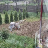 Casă P+M cu 1.558 mp teren, livadă și garaj | Barza, Gorj Comision 0%  thumb 19