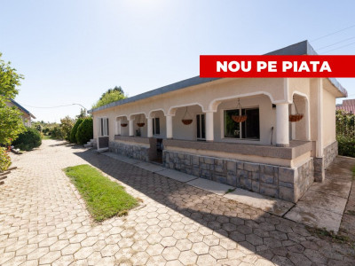 Casa visurilor cu 4000 mp livada roditoare si gradina Darmanesti-Arges