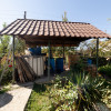 Casa visurilor cu 4000 mp livada roditoare si gradina Darmanesti-Arges imaginea mica 26 Casa visurilor cu 4000 mp livada roditoare si gradina Darmanesti-Arges thumb 26