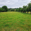 TEREN INTRAVILAN NOVACI thumb 6