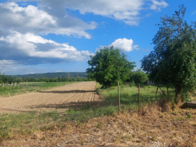 Teren 3.000 mp la principală în Telești | 30.000€ | Comision 0%
