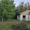 Casă cu 7.769 mp teren și pădure | Budieni | 53.000€ thumb 15