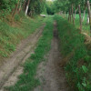 Teren extravilan Pitesti - str. Balotesi!! thumb 5