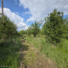 De Vânzare Casă Valea Vinului imaginea mica 14 De Vânzare Casă Valea Vinului thumb 14