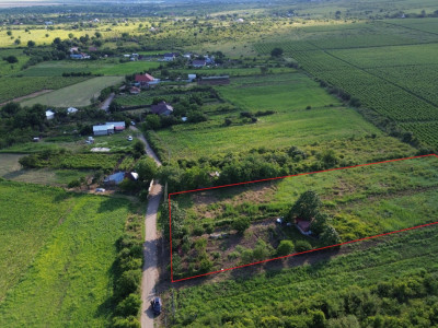  Teren Urlați / Investitie / 5.555 mp pe Traseul MARVIN si Drumul Vinului