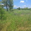 Teren extravilan 2.500 mp | Str. Ana Ipătescu, Târgu Jiu  thumb 1