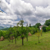 Casa moderna si casa bunicii + 6300 mp teren,Oaza autentica in Corbi Arges- thumb 17