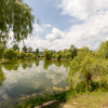 Afacere la cheie - domeniu cu lacuri de pescuit  - Sat Bunești, Com. Malureni thumb 9