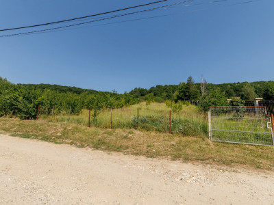 Teren intravilan Ștefănești Valea Mare Podgoria 