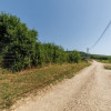 Teren intravilan Ștefănești Valea Mare Podgoria  thumb 2