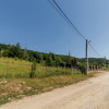 Teren intravilan Ștefănești Valea Mare Podgoria  thumb 3