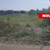 Teren de vanzare in Comuna Bradu – 1.374 mp | Deschidere 13,97 ml | 0% Comision thumb 2