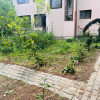 Oaza de liniste si verdeata, aproape de Km 0 - Brestei, zona Obedeanu thumb 15