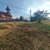 Teren intravilan 1.600 mp cu posibilitate de extindere – Mioveni imaginea mica 7 Teren intravilan 1.600 mp cu posibilitate de extindere – Mioveni thumb 7