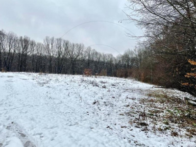 COMISION 0 - TEREN INTRAVILAN GAVANA