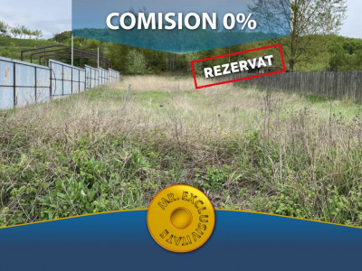 Teren 1734 mp com. Draganu, jud. Arges. Comision 0%