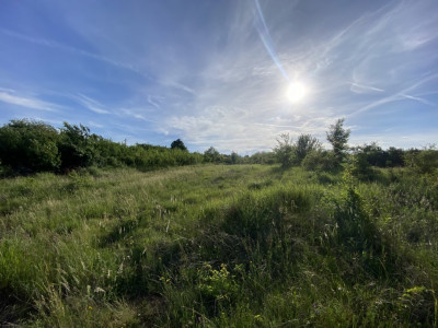 Teren 2080 mp intravilan Smeura, com. Mosoaia